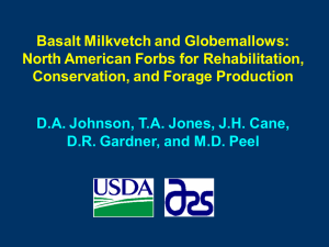 Basalt Milkvetch and Globemallows: North American Forbs for Rehabilitation,