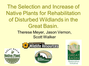The Selection and Increase of Native Plants for Rehabilitation Great Basin.