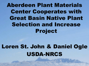 Aberdeen Plant Materials Center Cooperates with Great Basin Native Plant Selection and Increase