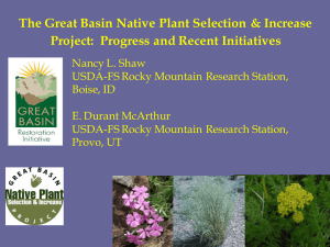 The Great Basin Native Plant Selection &amp; Increase