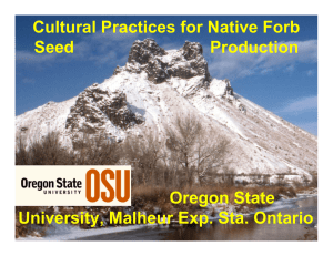 Cultural Practices for Native Forb Oregon State University, Malheur Exp. Sta. Ontario