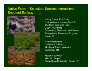 Native Forbs – Selection, Species Interactions, Seedbed Ecology……..