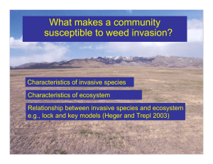What makes a community susceptible to weed invasion?