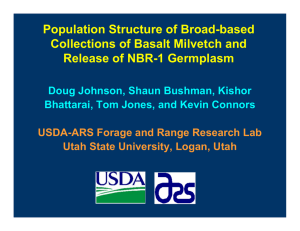 Population Structure of Broad-based Collections of Basalt Milvetch and