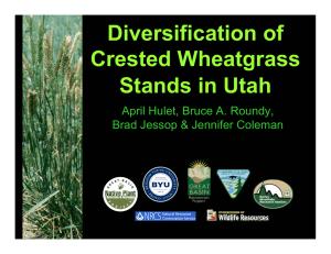 Diversification of Crested Wheatgrass Stands in Utah April Hulet, Bruce A. Roundy,