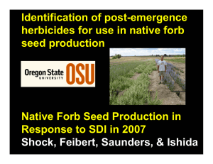 Identification of post-emergence herbicides for use in native forb seed production