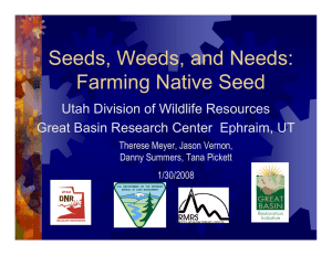 Seeds, Weeds, and Needs: Farming Native Seed Utah Division of Wildlife Resources