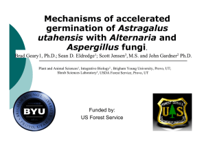 Mechanisms of accelerated Astragalus utahensis Aspergillus