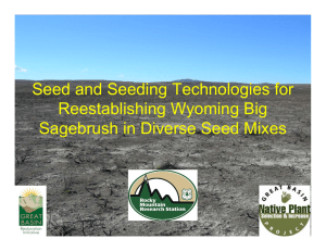 Seed and Seeding Technologies for Reestablishing Wyoming Big