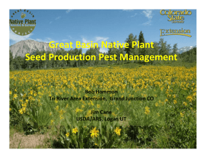Great Basin Native Plant Seed Production Pest Management  Bob Hammon
