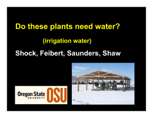 Do these plants need water? Shock, Feibert, Saunders, Shaw (irrigation water)