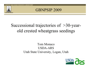 Successional trajectories of  &gt;30-year- old crested wheatgrass seedings GBNPSIP 2009 Tom Monaco