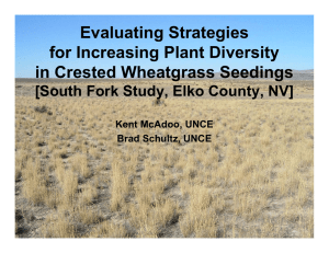 Evaluating Strategies for Increasing Plant Diversity in Crested Wheatgrass Seedings