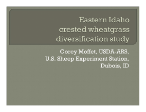 Corey Moffet, USDA-ARS, U.S. Sheep Experiment Station, Dubois, ID
