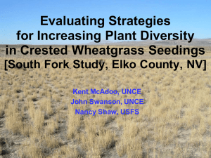 Evaluating Strategies for Increasing Plant Diversity in Crested Wheatgrass Seedings