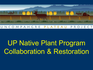 UP Native Plant Program Collaboration &amp; Restoration