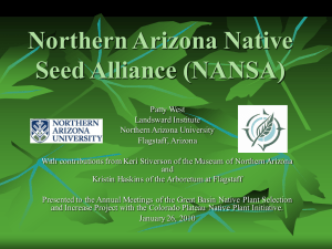 Northern Arizona Native Seed Alliance (NANSA)