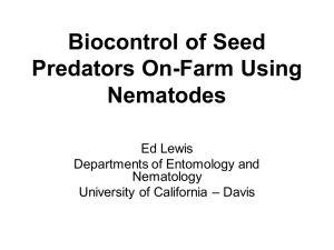 Biocontrol of Seed Predators On-Farm Using Nematodes Ed Lewis