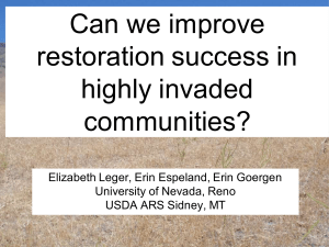 Can we improve restoration success in highly invaded communities?