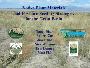 Native Plant  Materials and Post-fire  Seeding Strategies Nancy Shaw