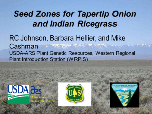 Seed Zones for Tapertip Onion and Indian Ricegrass Cashman