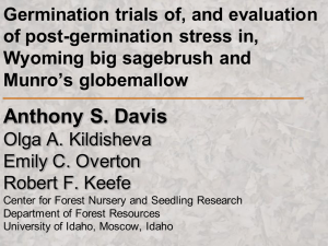 Germination trials of, and evaluation of post-germination stress in, Munro’s globemallow