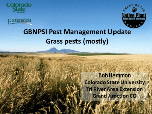 GBNPSI Pest Management Update Grass pests (mostly) Bob Hammon Colorado State University