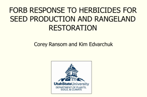 FORB RESPONSE TO HERBICIDES FOR SEED PRODUCTION AND RANGELAND RESTORATION