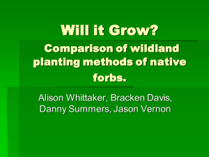 Will it Grow? Comparison of wildland planting methods of native forbs.
