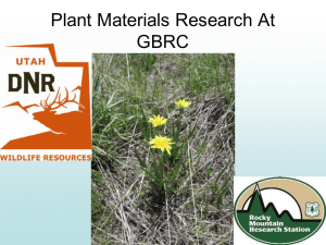Plant Materials Research At GBRC