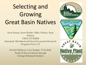 Selecting and Growing Great Basin Natives