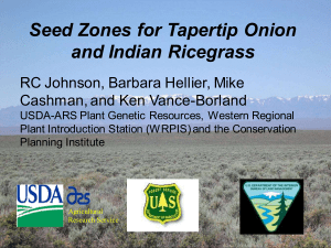 Seed Zones for Tapertip Onion and Indian Ricegrass Cashman, and Ken Vance-Borland