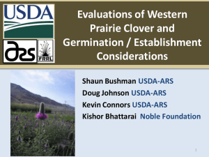 Evaluations of Western Prairie Clover and Germination / Establishment Considerations