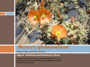 Munro’s globemallow: exploring seed dormancy Olga A. Kildisheva and Anthony S. Davis