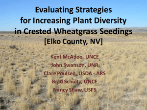 Evaluating Strategies for Increasing Plant Diversity in Crested Wheatgrass Seedings [Elko County, NV]