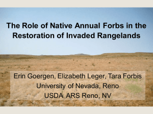 The Role of Native Annual Forbs in the