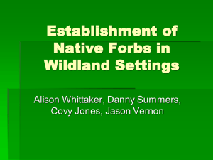 Establishment of Native Forbs in Wildland Settings Alison Whittaker, Danny Summers,