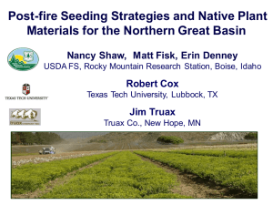 Post-fire Seeding Strategies and Native Plant Robert Cox