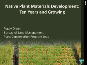 Native Plant Materials Development: Ten Years and Growing Peggy Olwell