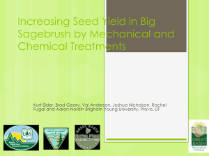 Increasing Seed Yield in Big Sagebrush by Mechanical and Chemical Treatments