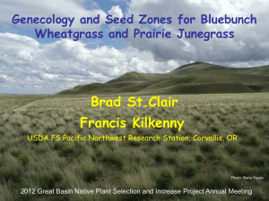 Brad St.Clair Francis Kilkenny Genecology and Seed Zones for Bluebunch