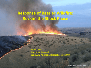 Response of Bees to Wildfire: Rockin’ the Shock Phase Byron Love