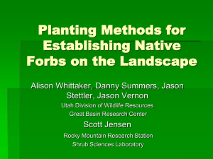 Planting Methods for Establishing Native Forbs on the Landscape