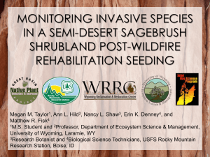 MONITORING INVASIVE SPECIES IN A SEMI-DESERT SAGEBRUSH SHRUBLAND POST-WILDFIRE REHABILITATION SEEDING