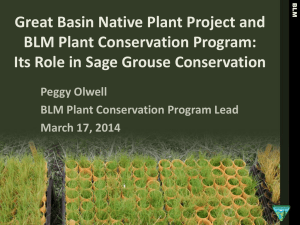 Great Basin Native Plant Project and BLM Plant Conservation Program: