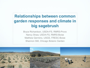 Relationships between common garden responses and climate in big sagebrush