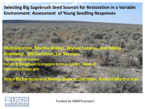 Selecting Big Sagebrush Seed Sources for Restoration in a Variable