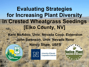 Evaluating Strategies for Increasing Plant Diversity in Crested Wheatgrass Seedings [Elko County, NV]