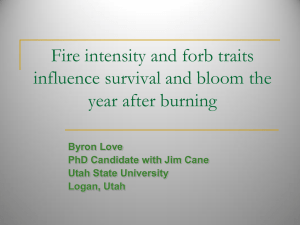 Fire intensity and forb traits influence survival and bloom the