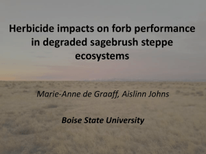 Herbicide impacts on forb performance in degraded sagebrush steppe ecosystems